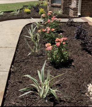 Screenshot 2026 01 16 at 5.44.53 AM