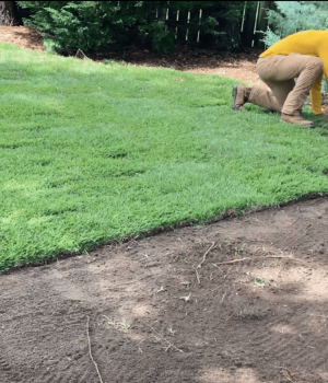 Screenshot 2026 01 16 at 5.48.30 AM